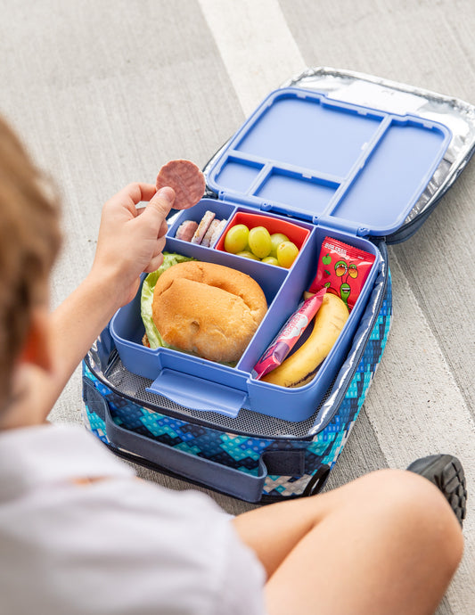 MontiiCo Feast Lunch Box - Splash