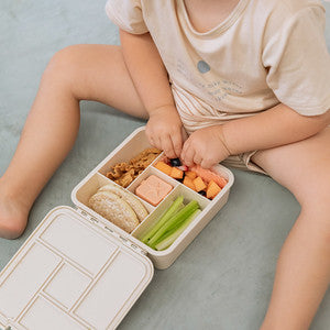 MontiiCo Bento Cups Mixed - Midnight