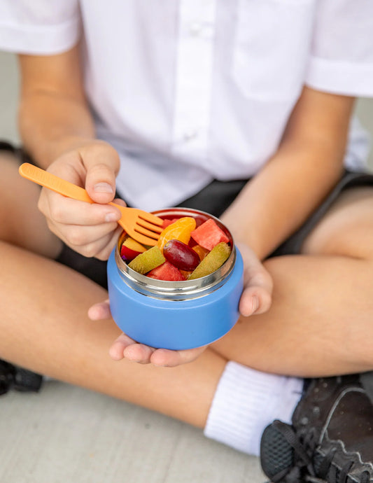 MontiiCo Mini Insulated Food Jar - Splash