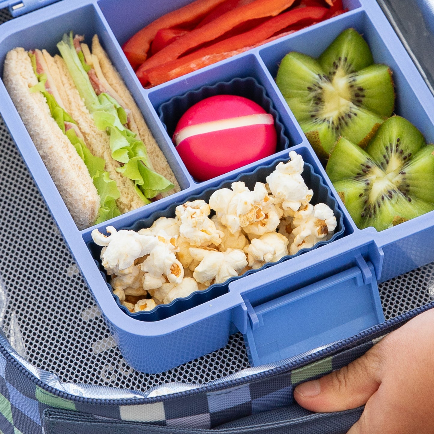 MontiiCo Bento Five - Splash