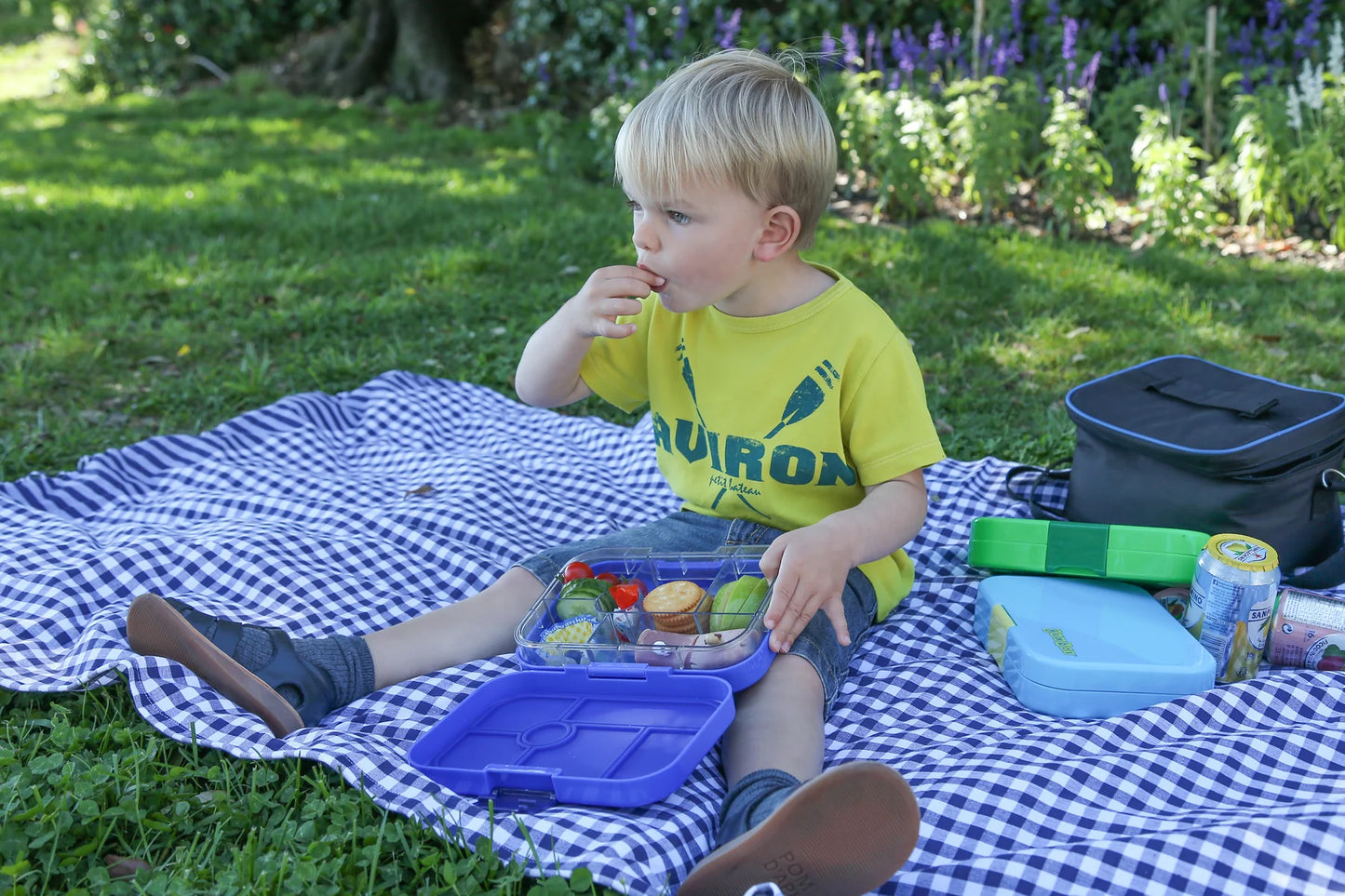 Yumbox Original - Surf Blue (Rocket)