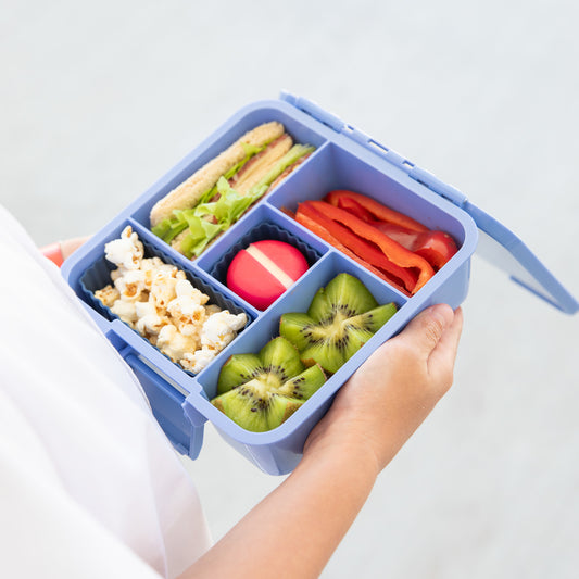 MontiiCo Bento Five - Splash