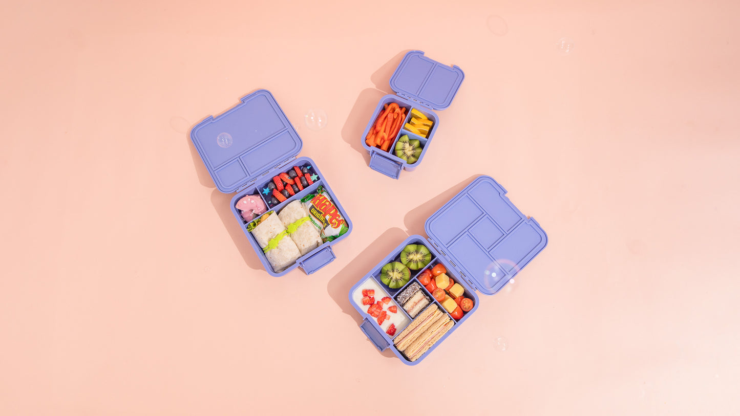 MontiiCo Bento Two - Splash