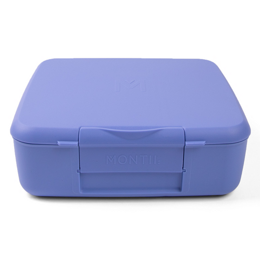 MontiiCo Feast Lunch Box - Splash